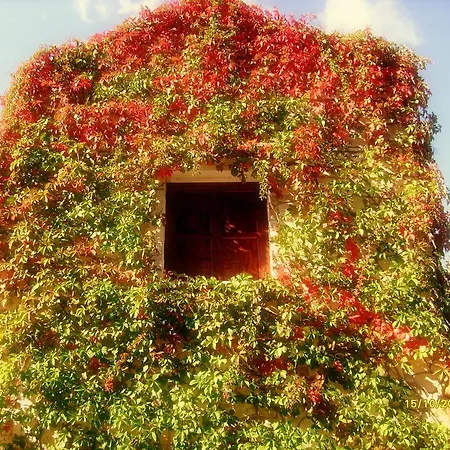 Gasthaus Manoli'S House Douliana Zimmer foto