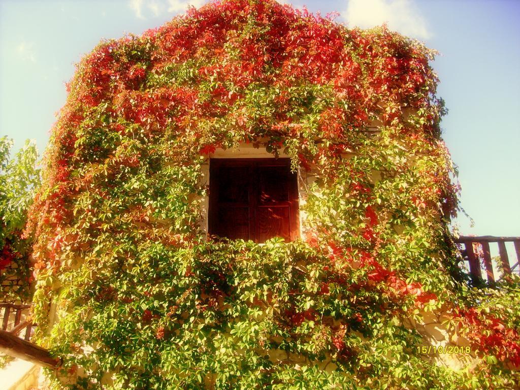 Manoli's House * Douliana