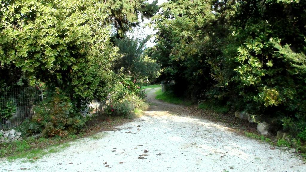 Εξοχικό σπίτι Manoli's House
